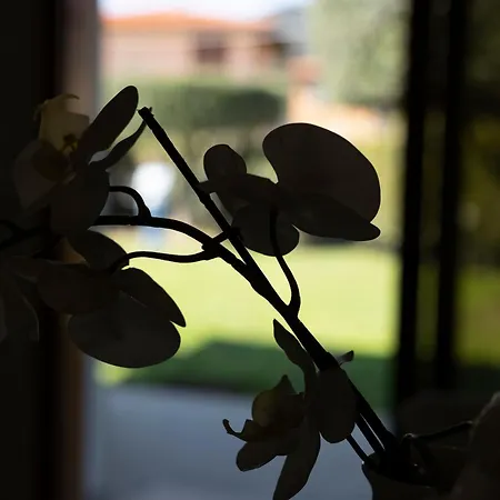 Vakantiehuis Libo - Helloelba *