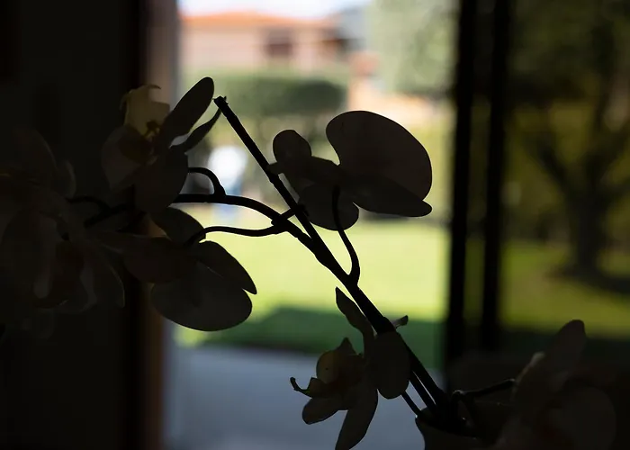 Vakantiehuis Libo - Helloelba *